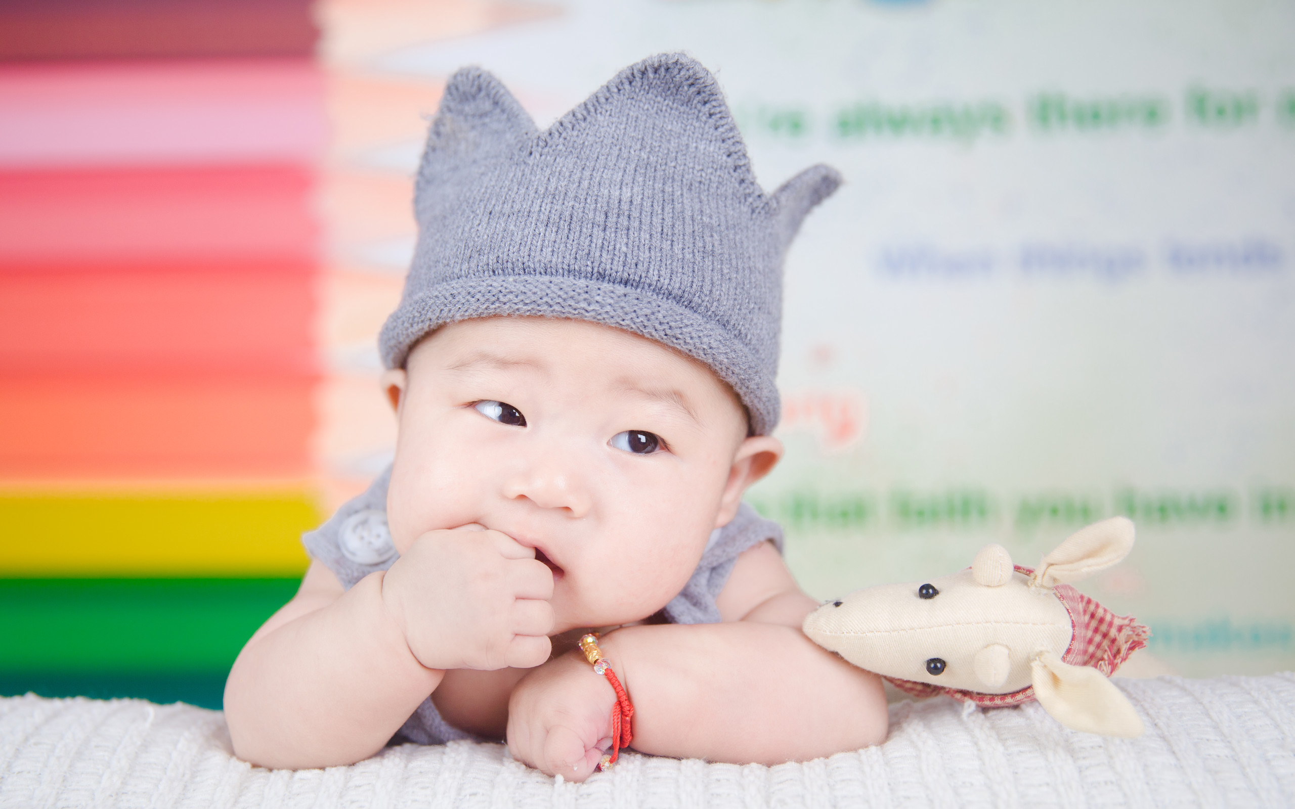 南京助孕公司机构试管婴儿 卵泡